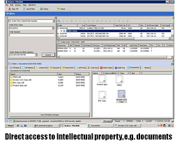 Direct accses to intellectual property, documents