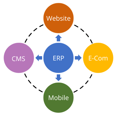 ERP Circular Chart